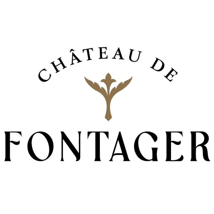 Château de Fontager Serves-sur-Rhône Exterior foto