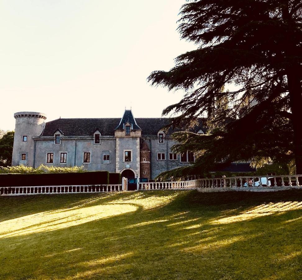 Château de Fontager Serves-sur-Rhône Exterior foto